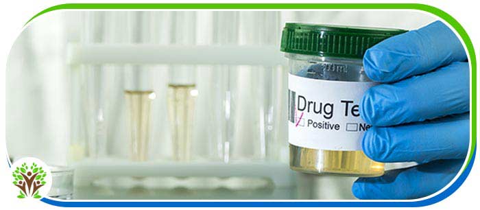 Pre-Employment Drug Testing Clinic Near Me in Palm Bay FL Pre-Employment Drug Testing Clinic Near Me in Palm Bay FL