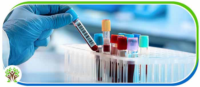 Laboratory and Diagnostic Services Near Me in Palm Bay FL