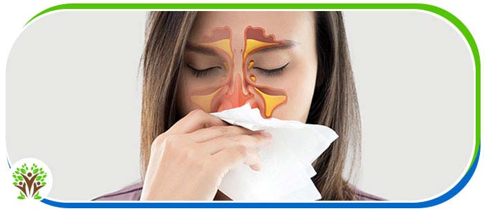 Sinus Infections Treatment Clinic Near Me in Palm Bay FL