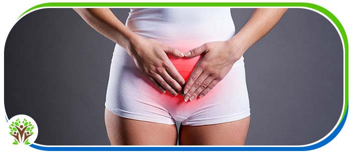 Urinary Tract Infection Treatment Clinic Near Me in Palm Bay FL Urinary Tract Infection Treatment Clinic Near Me in Palm Bay FL