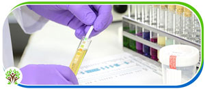 Urine Drug Screening Clinic Near Me in Palm Bay FL