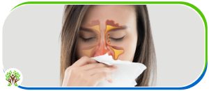 Allergies vs. Sinus Infection Treatment | Restore Health Urgent Care